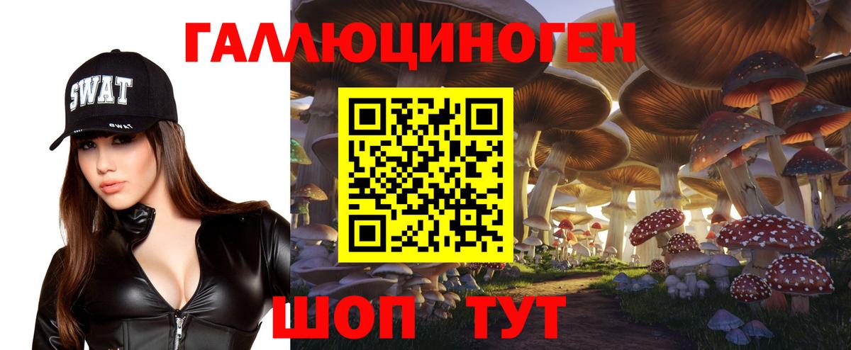 Псилоцибиновые грибы Cubensis  Вход с VPN  даркнет сайт  Усть-Джегута 